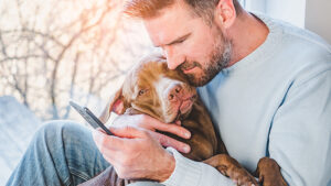 A man sitting with his dog in his lap having his question answered from his veterinarian on his mobile phone as a text message.